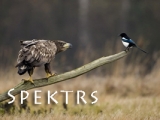 VIENS SPĒKS, VIENA VARA!