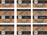 Iznācis “Hillsong” jaunais CD albums dažādās valodās “The Global Project”ietvaros (VIDEOPREZENTĀCIJA)